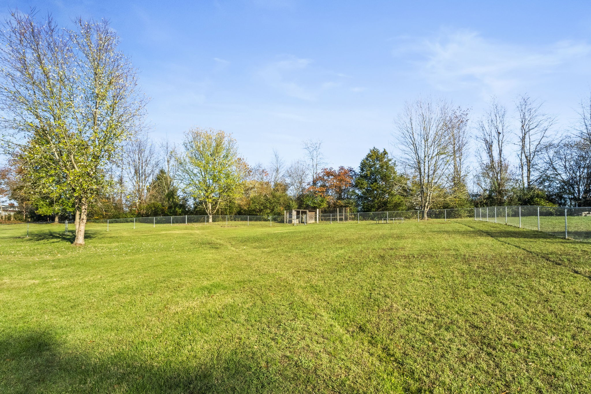 1005 Orchard Dr