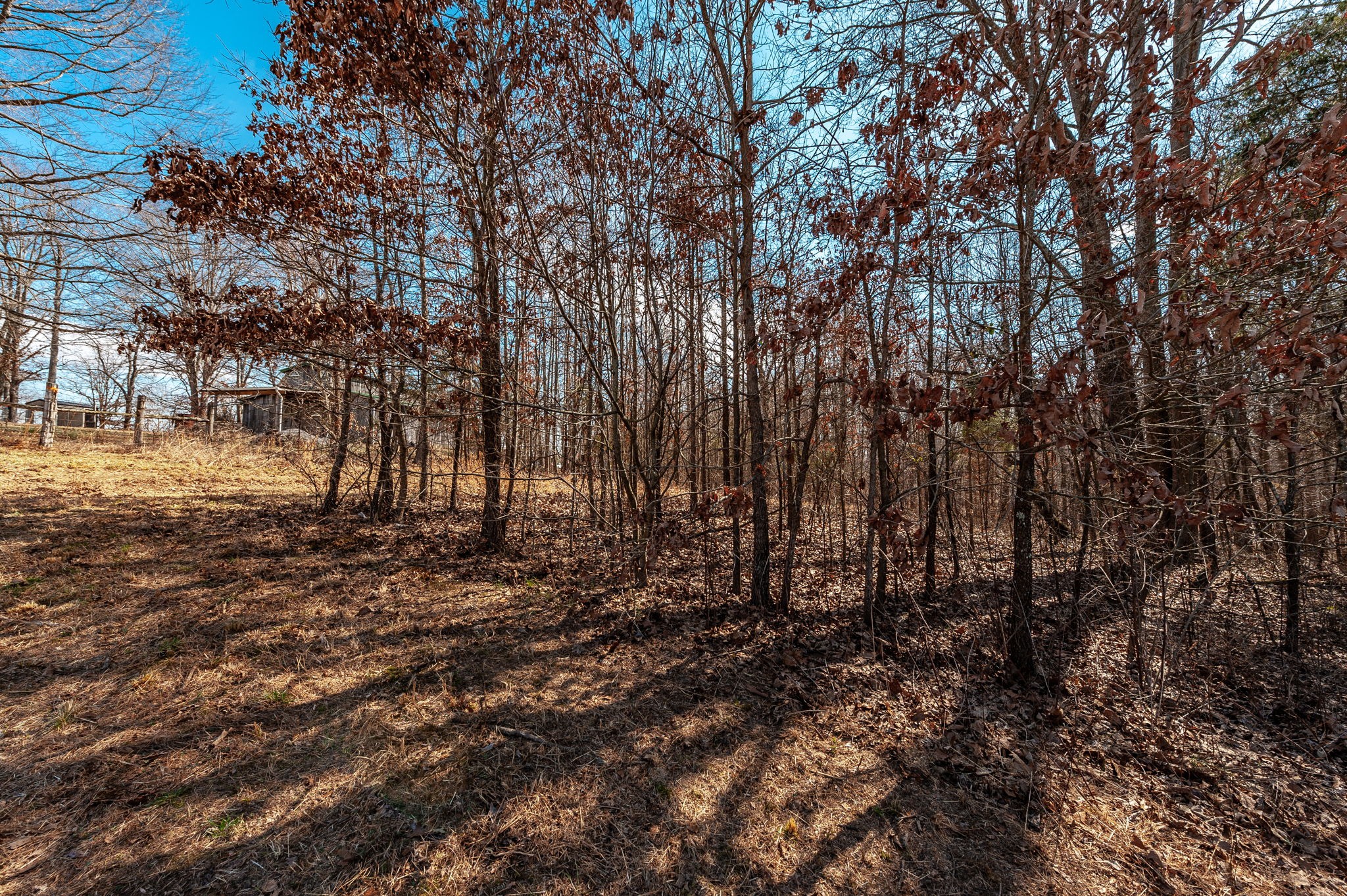 3438 Dobbins Pike