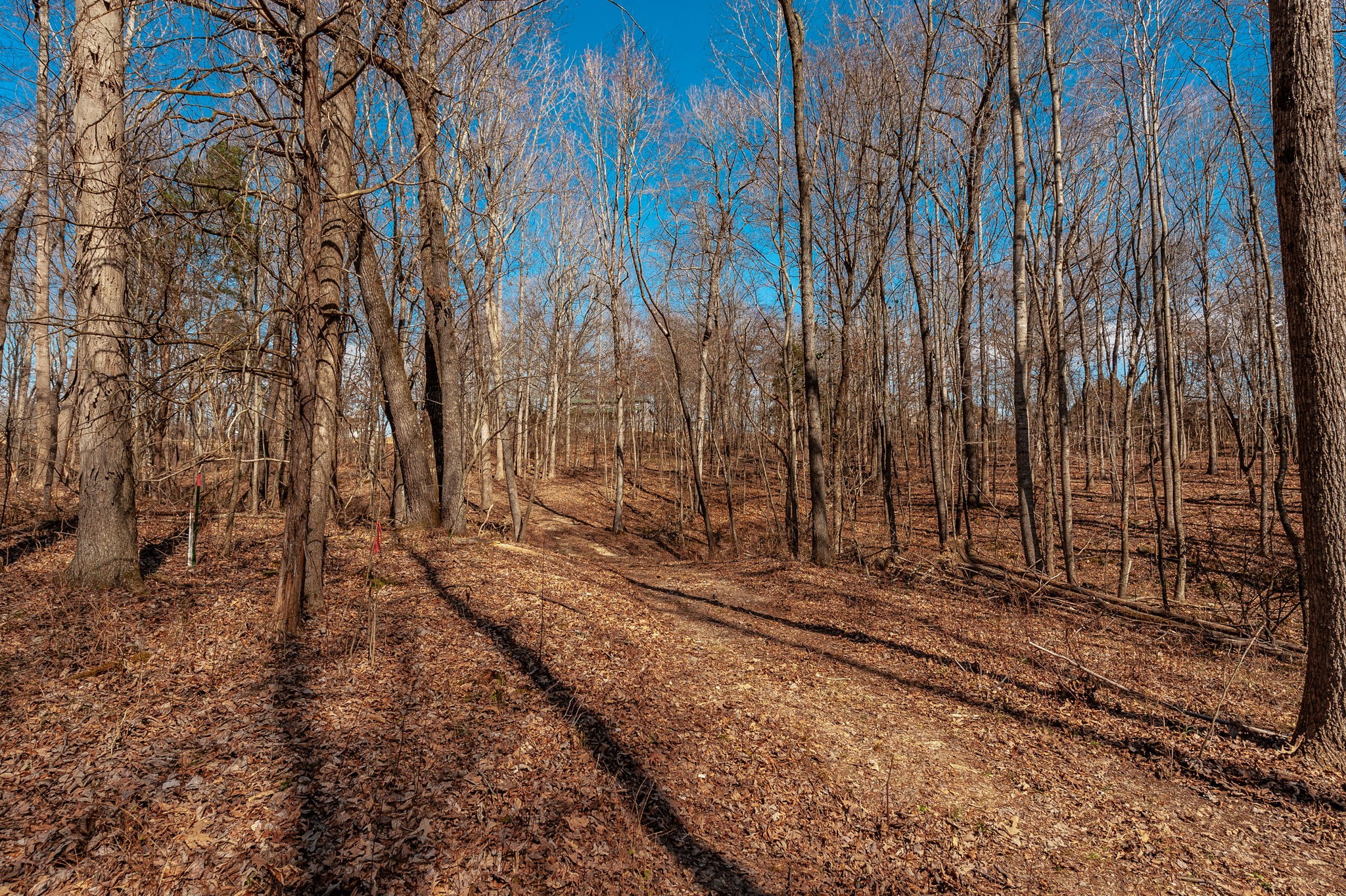 3438 Dobbins Pike