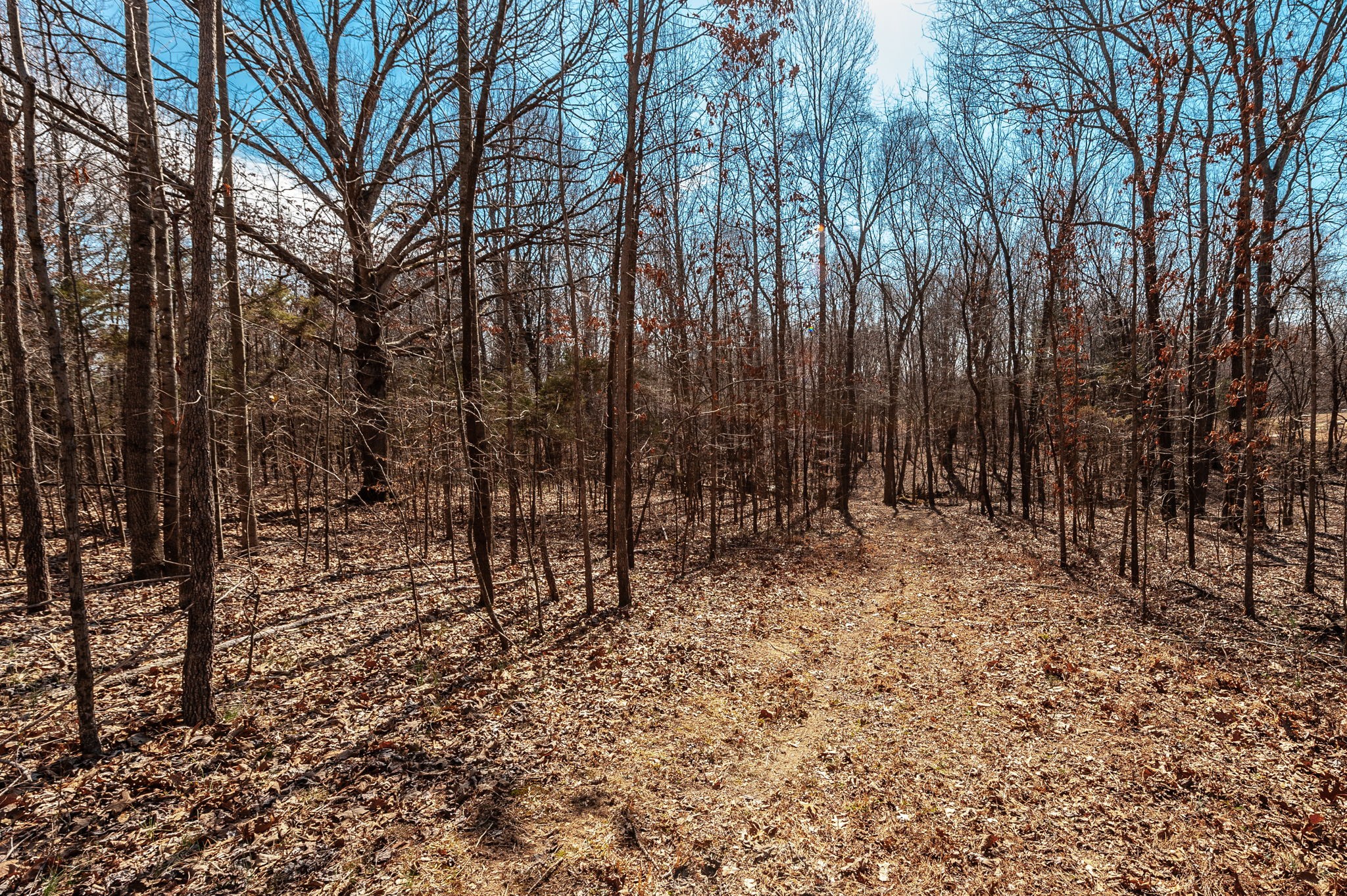 3438 Dobbins Pike