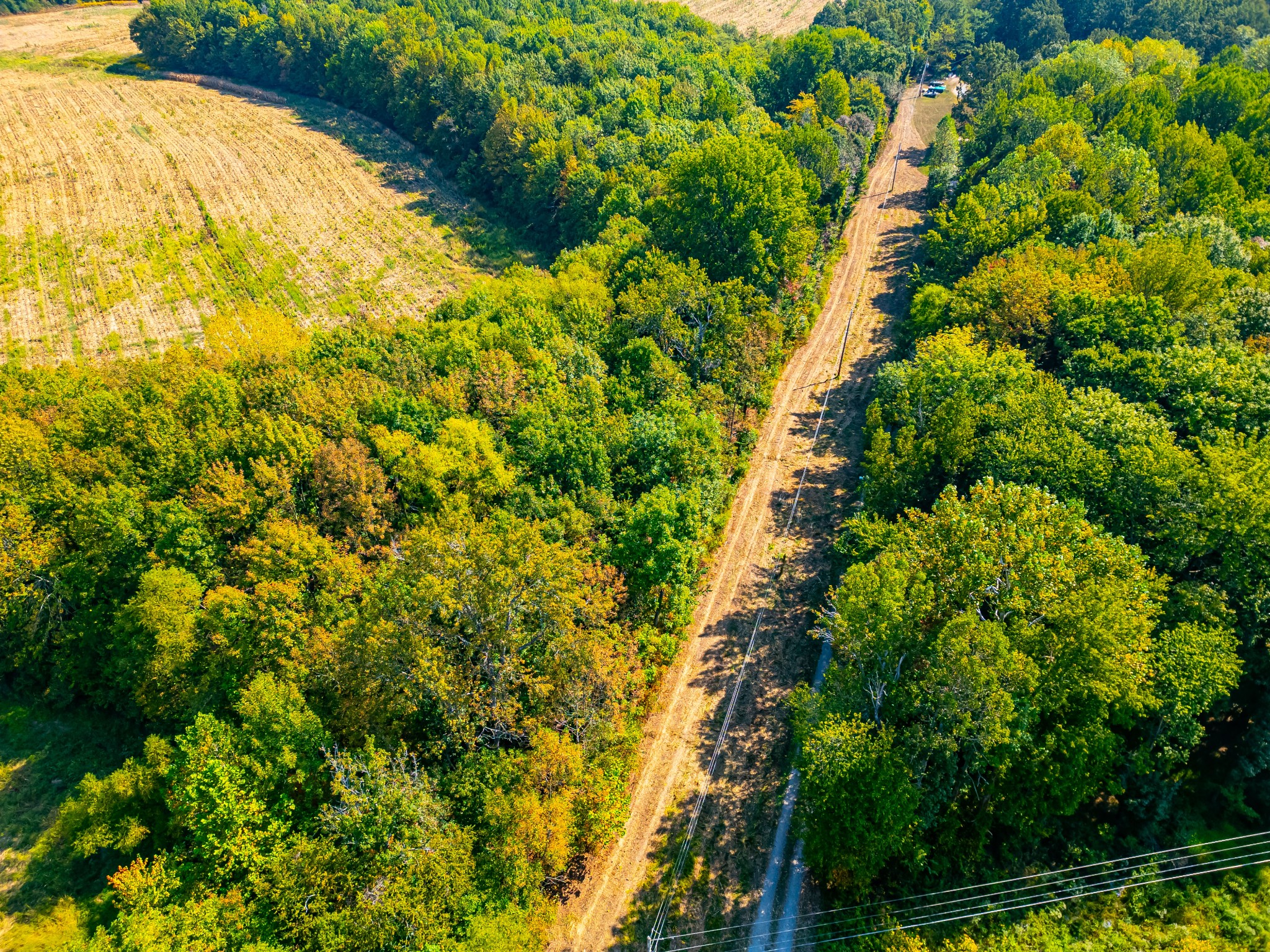 648 Scattersville Rd