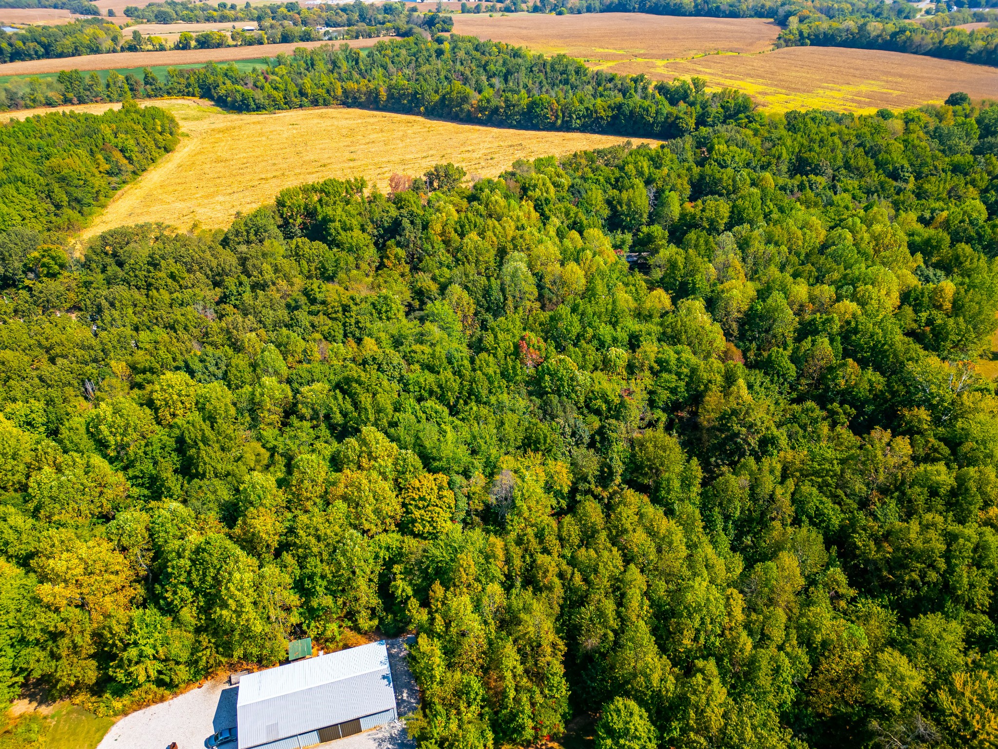 648 Scattersville Rd