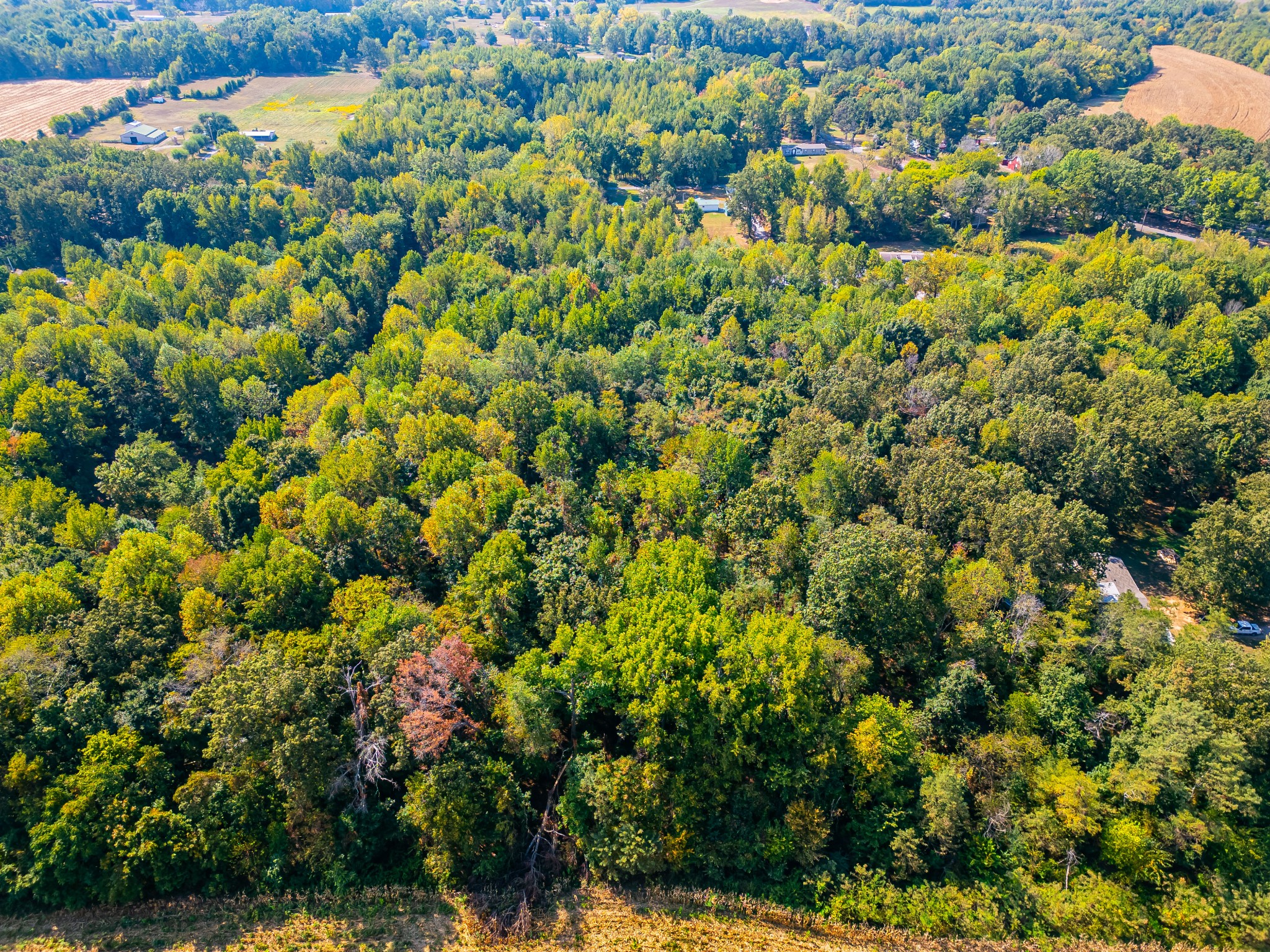 648 Scattersville Rd