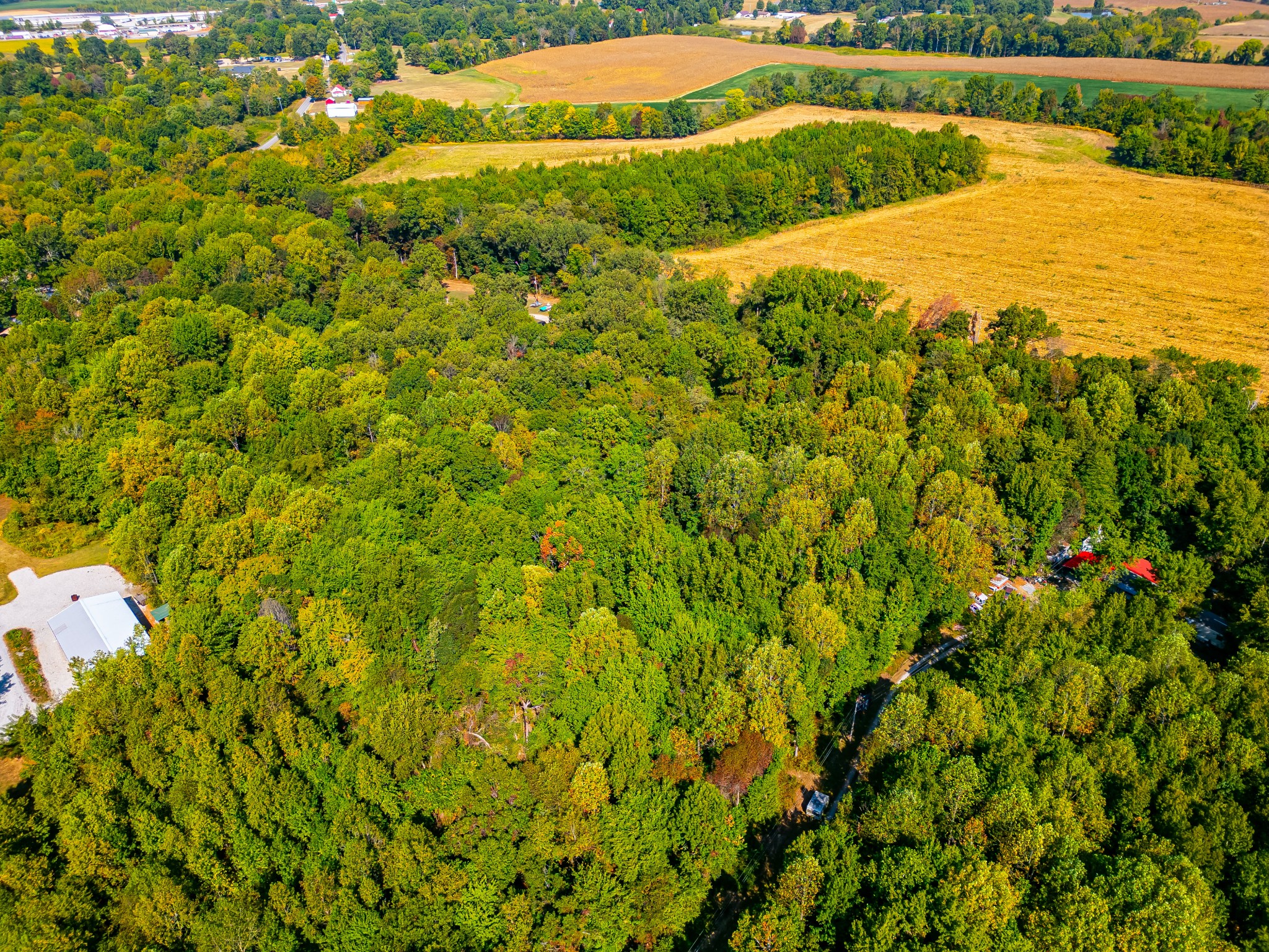 648 Scattersville Rd