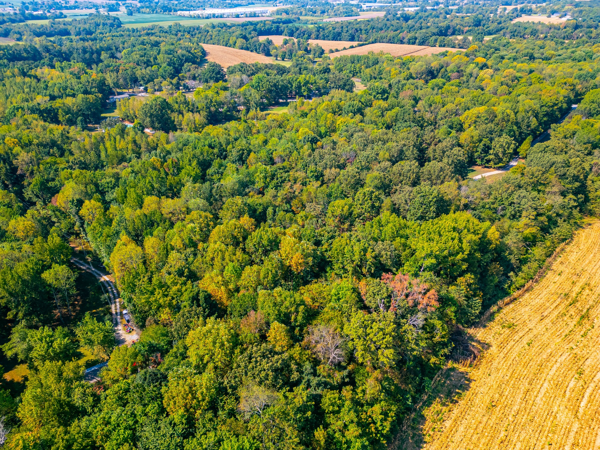 648 Scattersville Rd