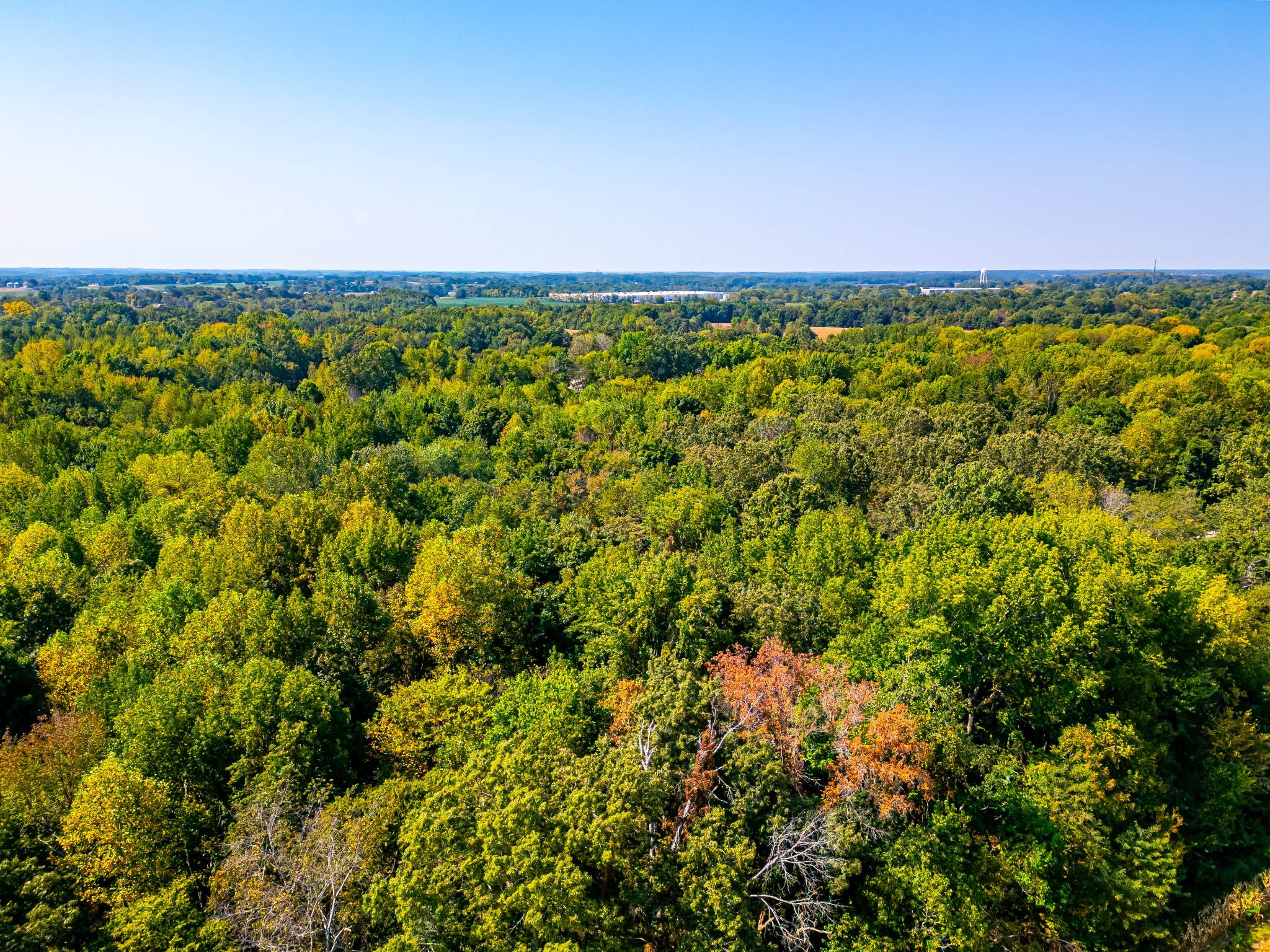 648 Scattersville Rd