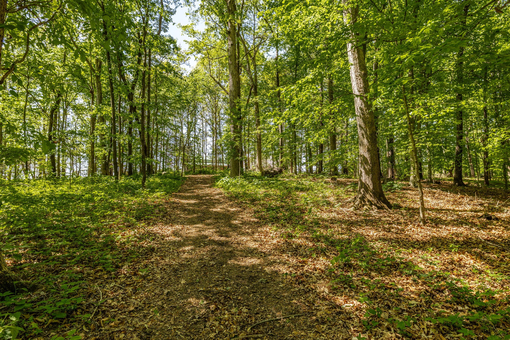 237 Lear Rd
