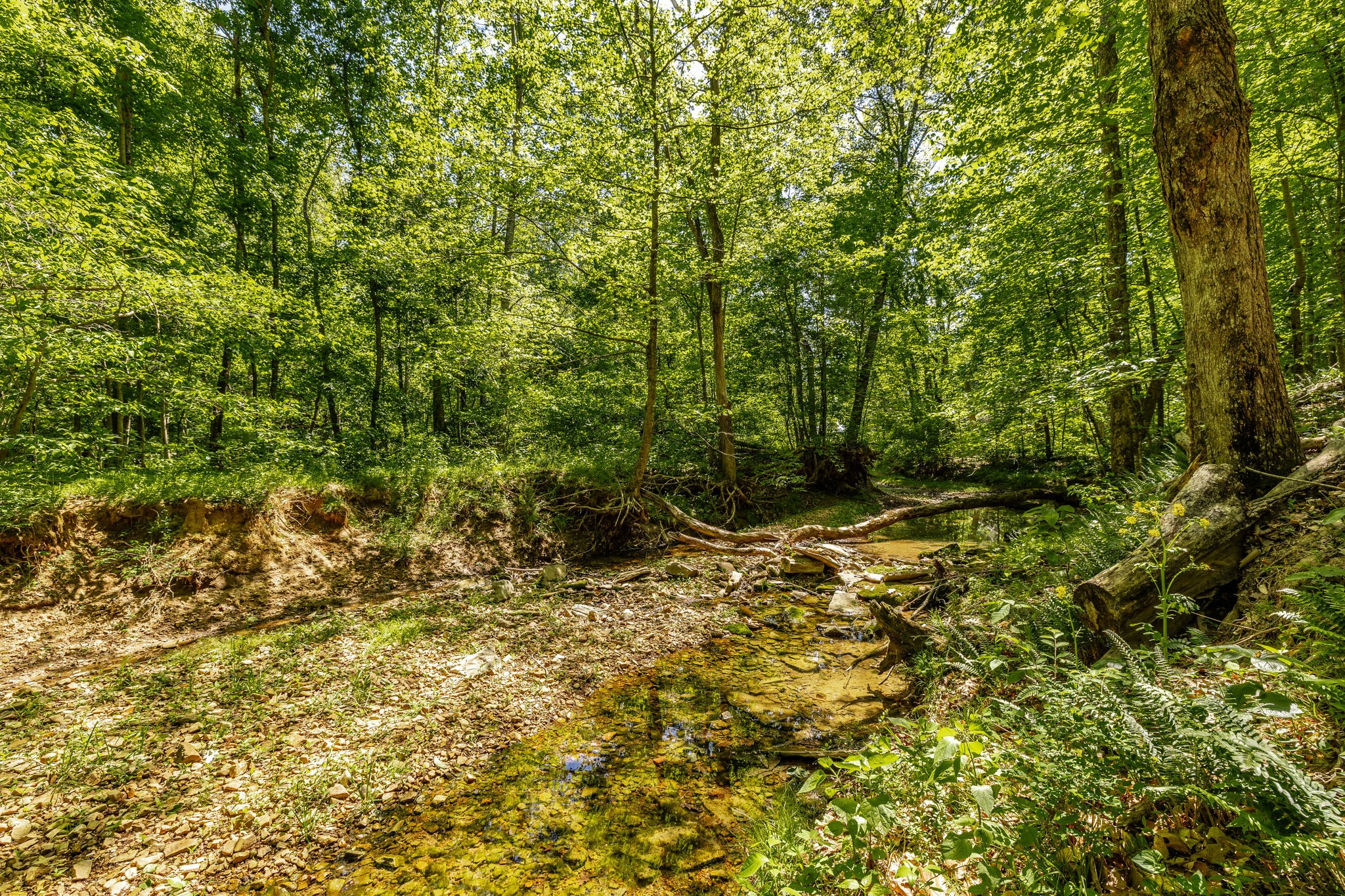 237 Lear Rd