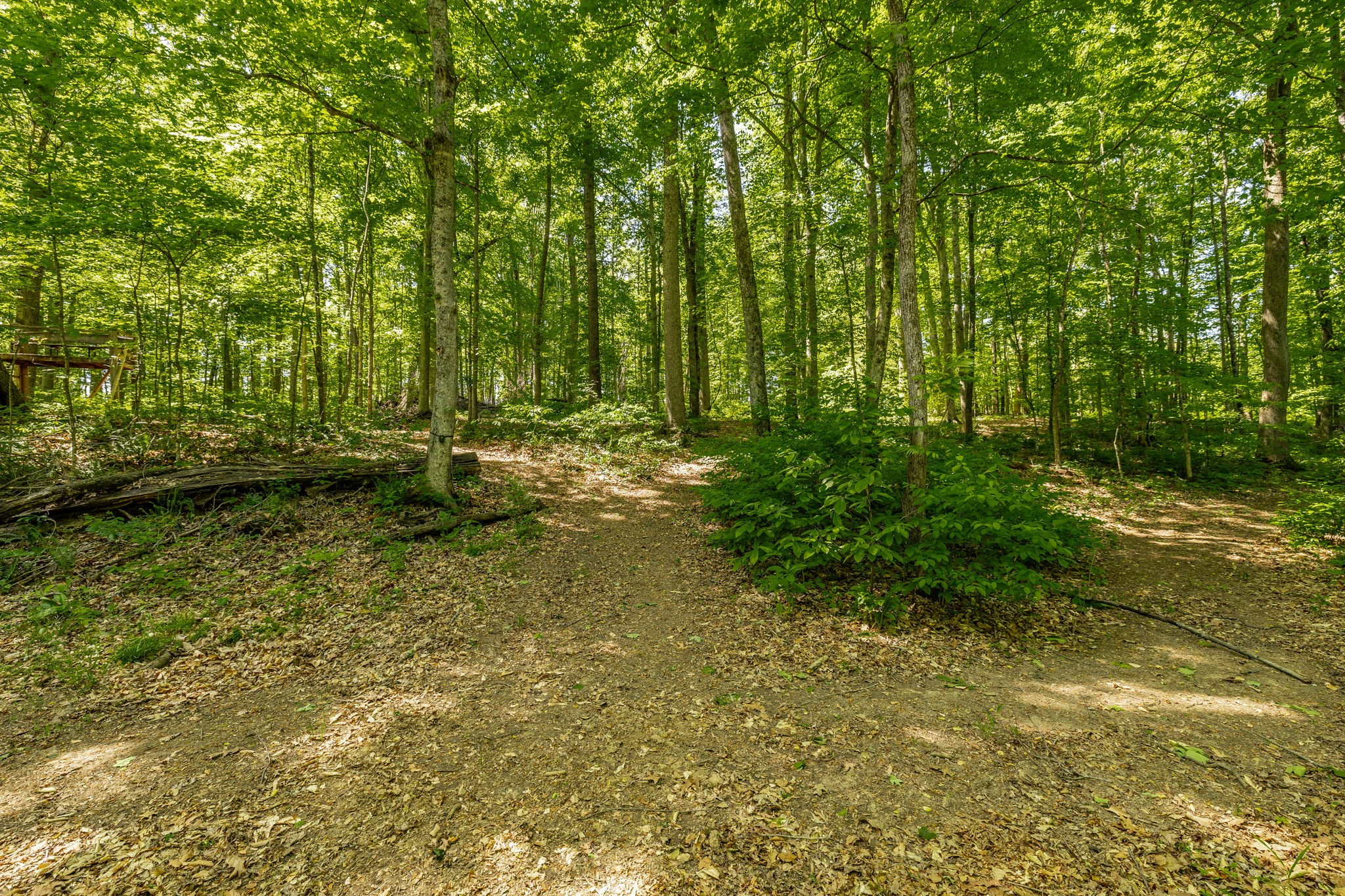 237 Lear Rd