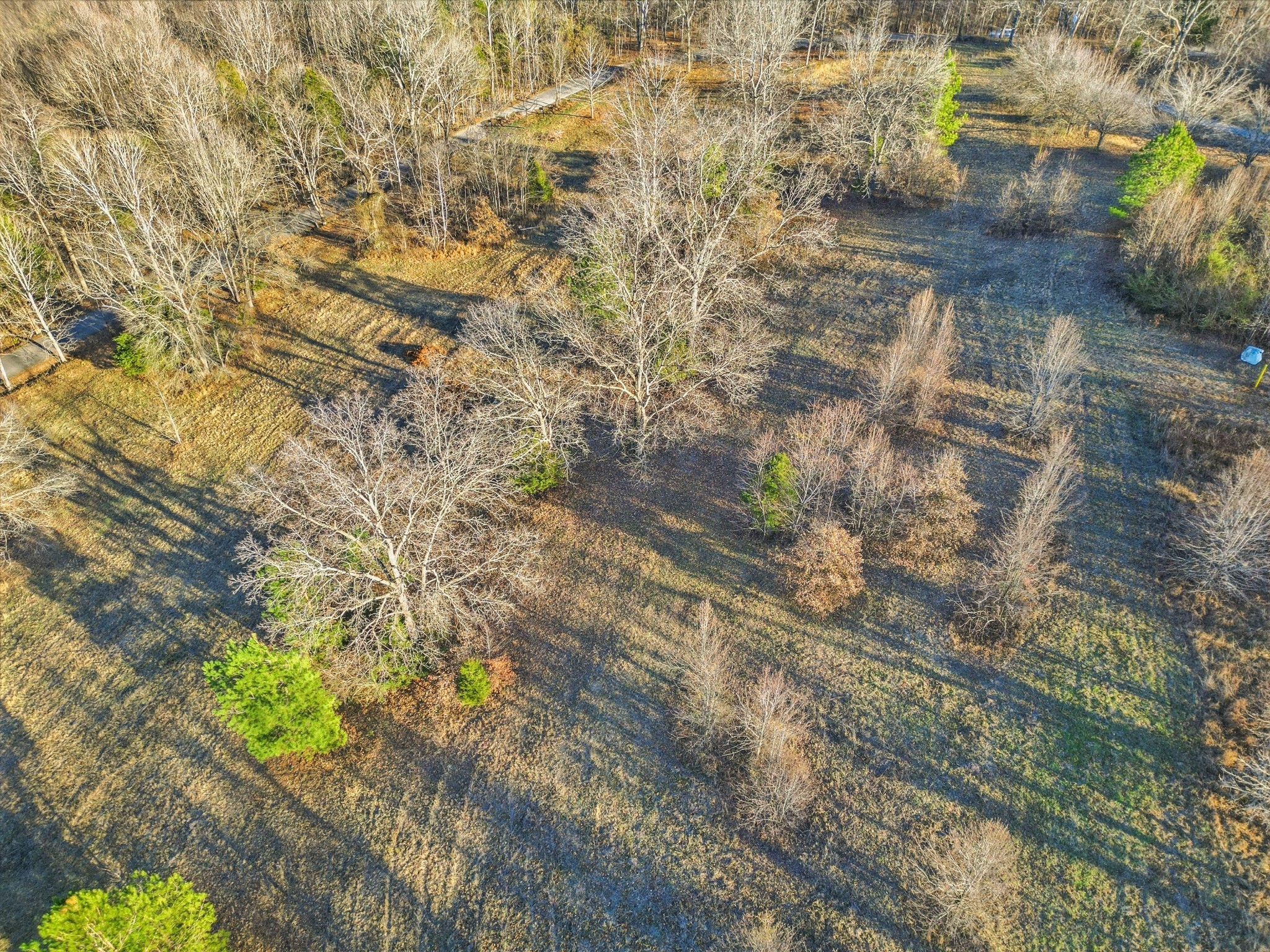 8451 Sycamore Creek Rd