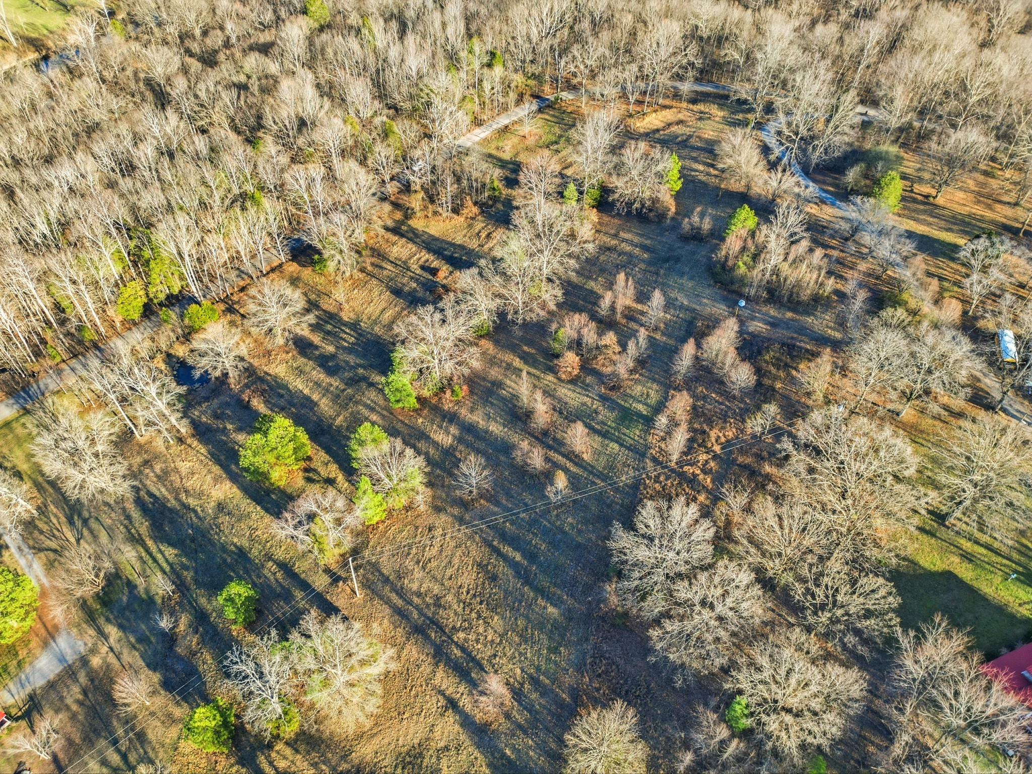 8451 Sycamore Creek Rd