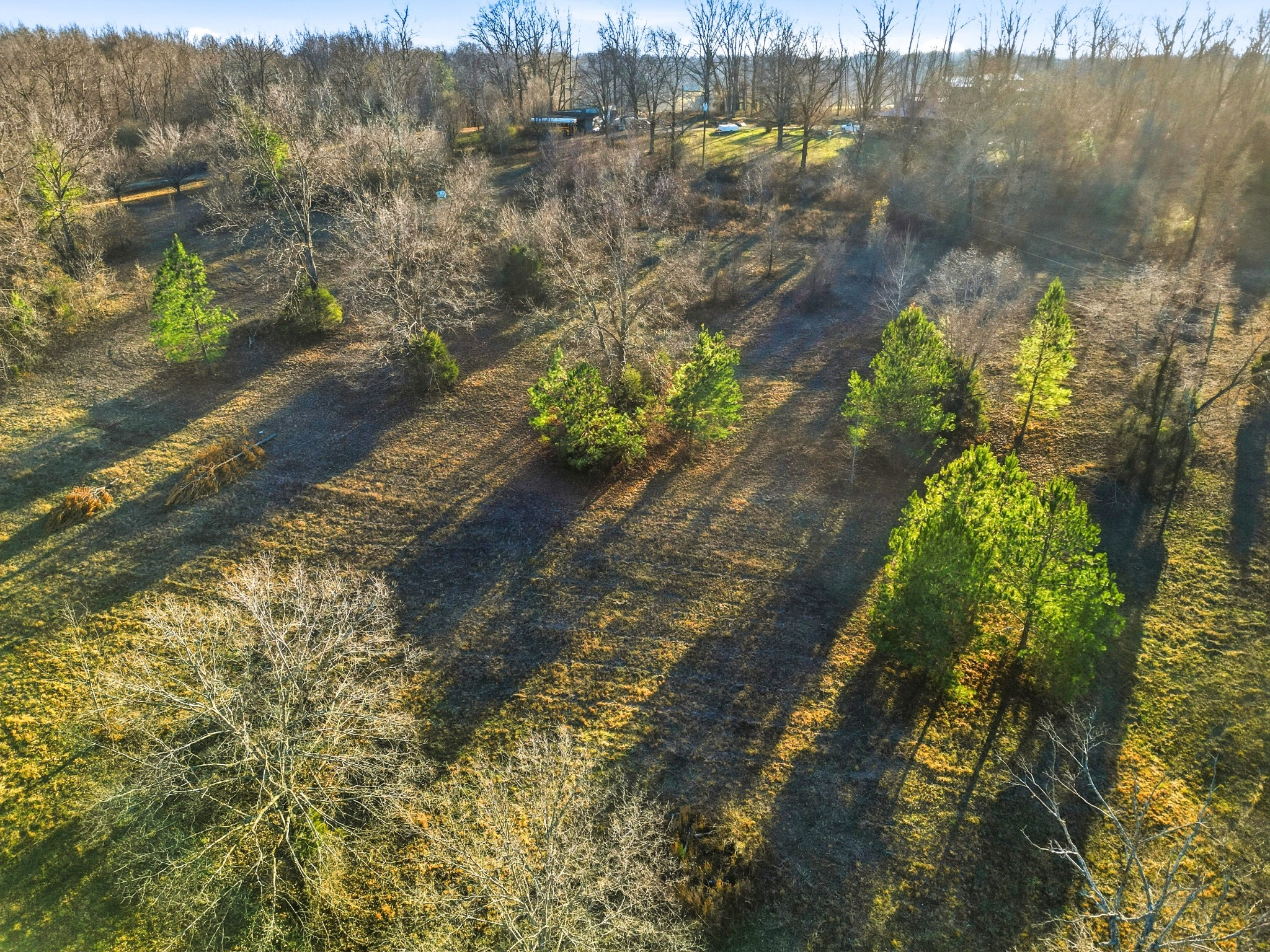 8451 Sycamore Creek Rd
