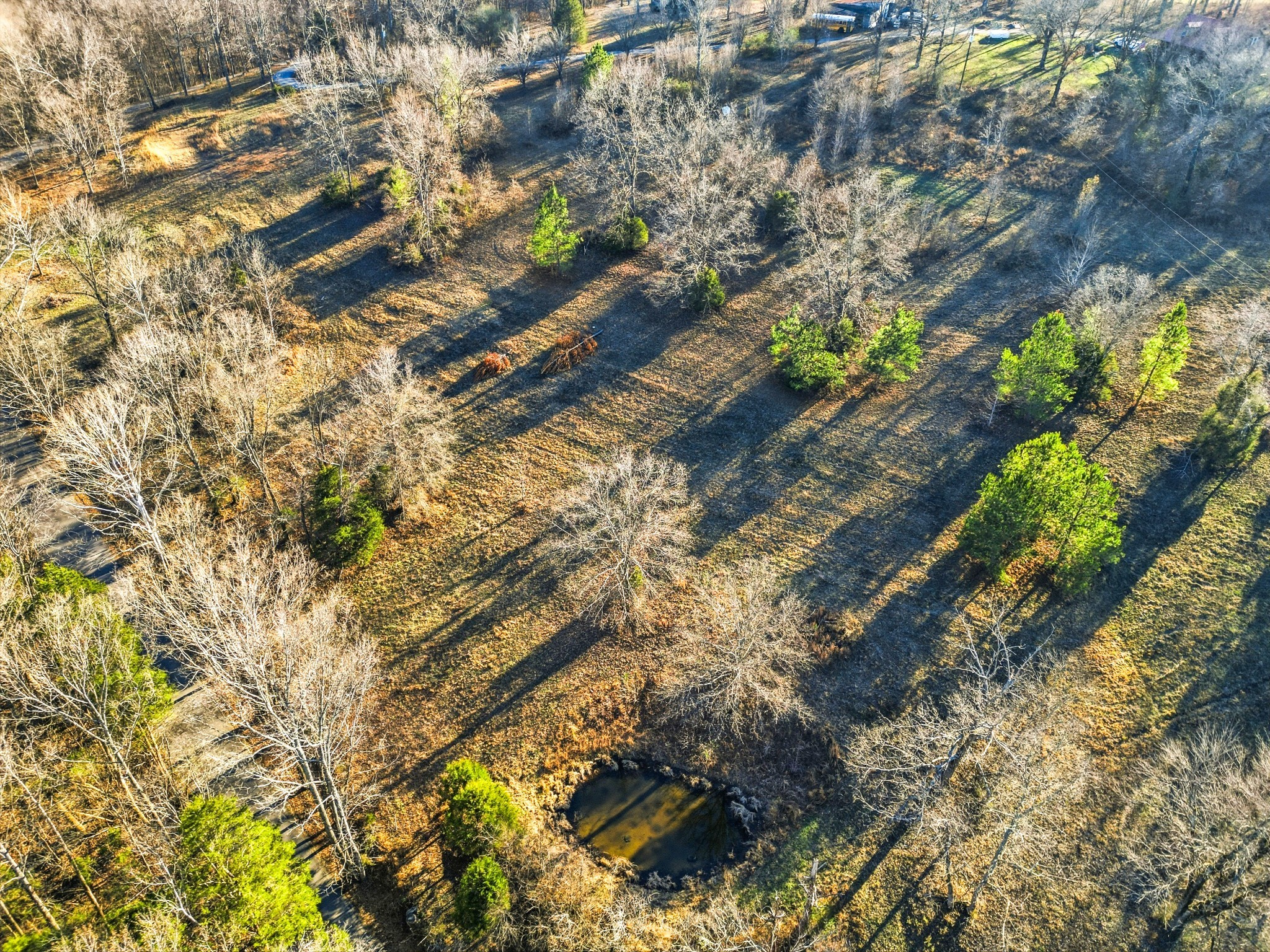 8451 Sycamore Creek Rd