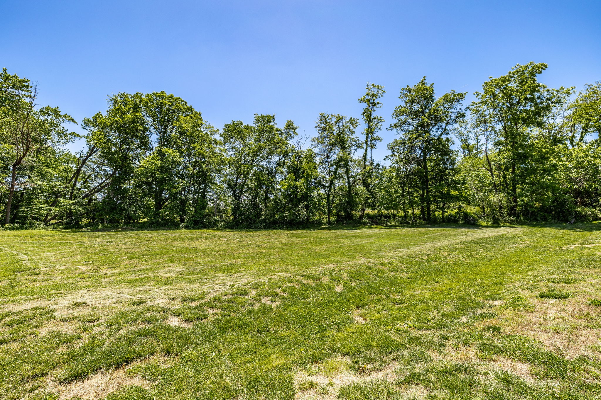 214 Telavera Dr