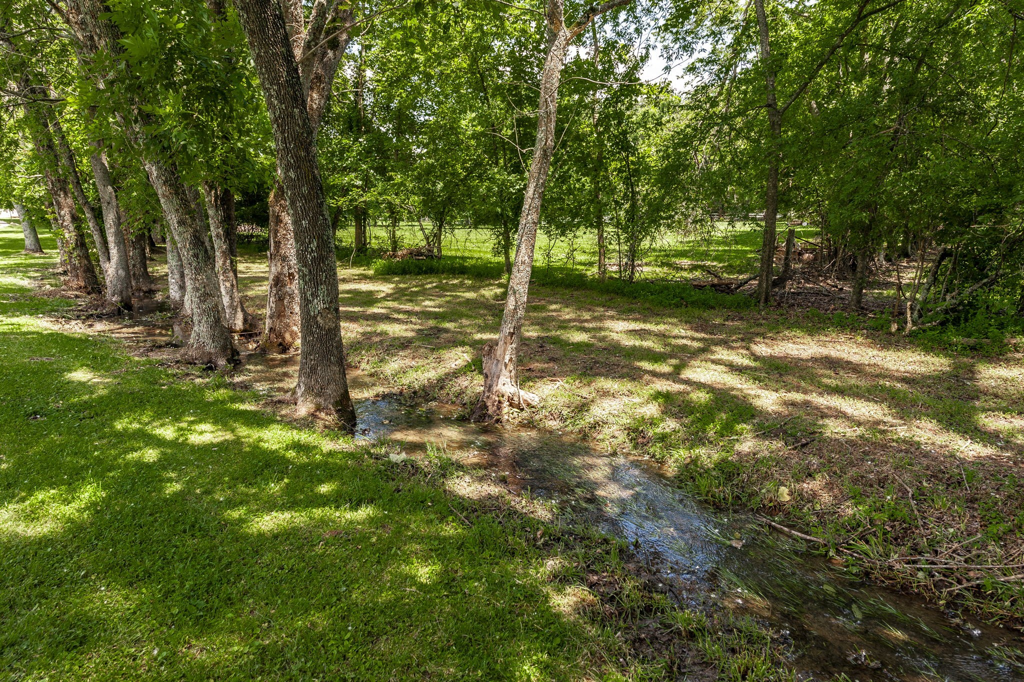 1511 Long Hollow Pike