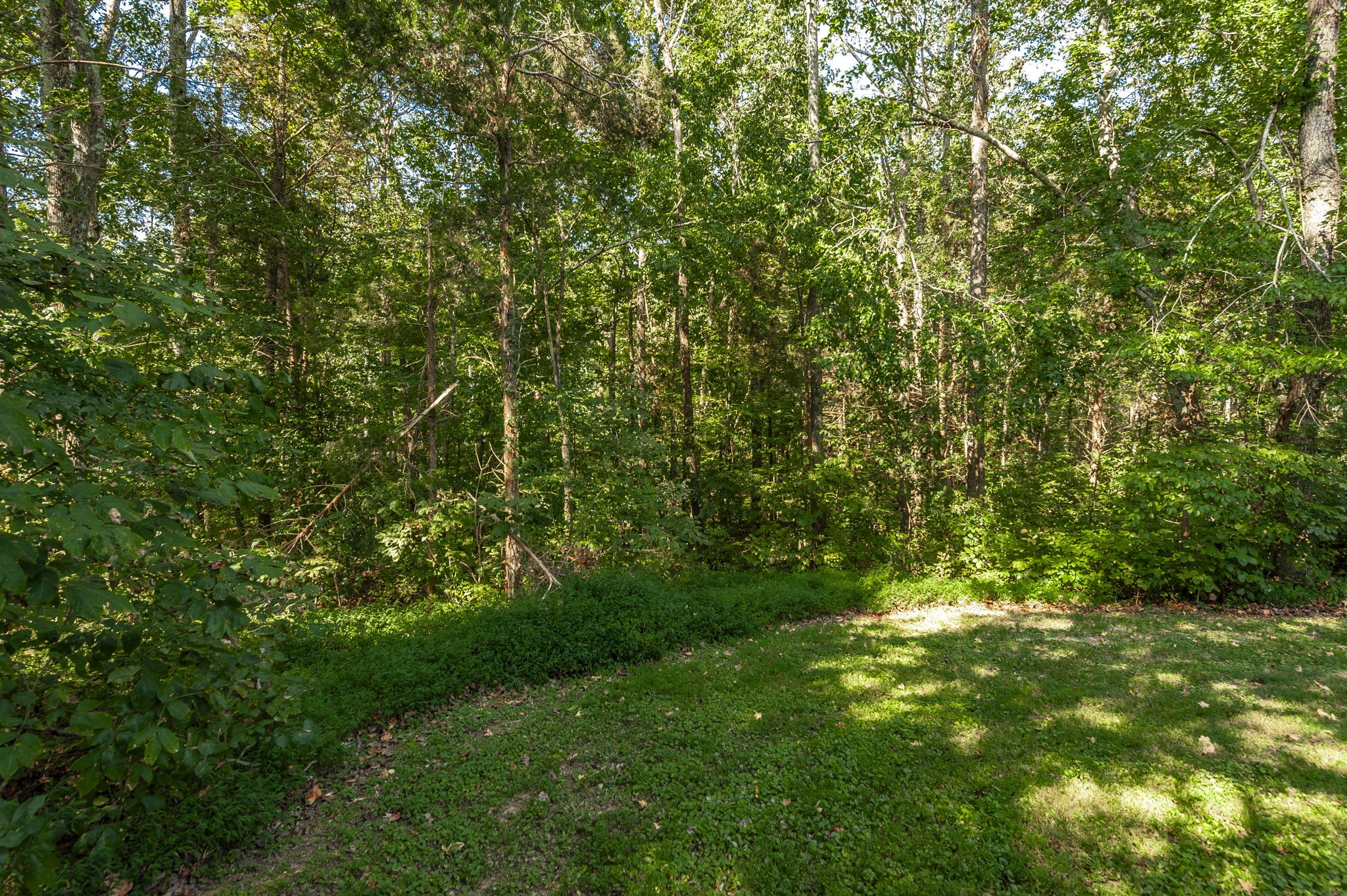 1028 Chris Dr