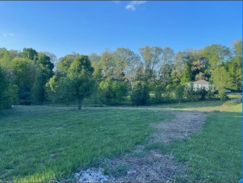 Lot 2-1 Massey Road