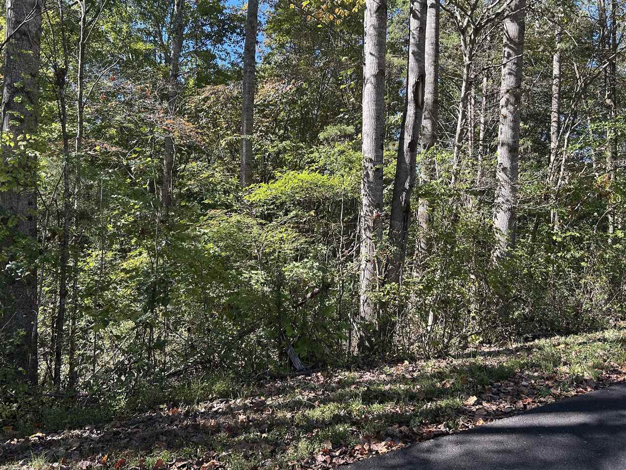 Lot 47A Walleye Way