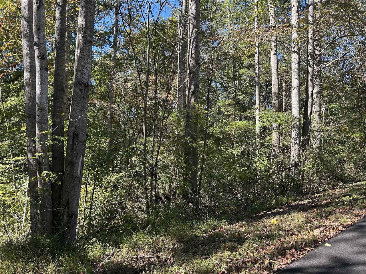 Lot 47A Walleye Way