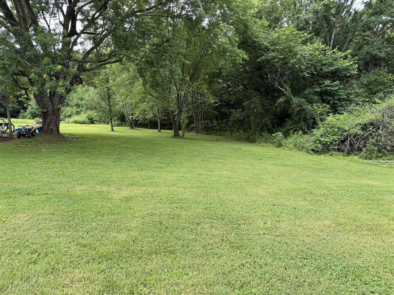 5331 Deer Lick Road