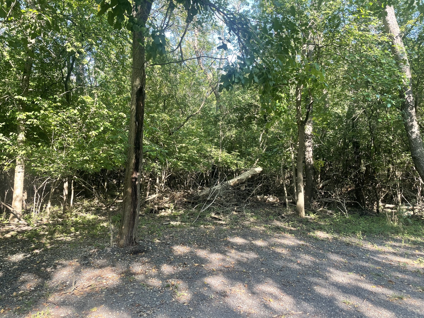 Lot 16 Manito Trail