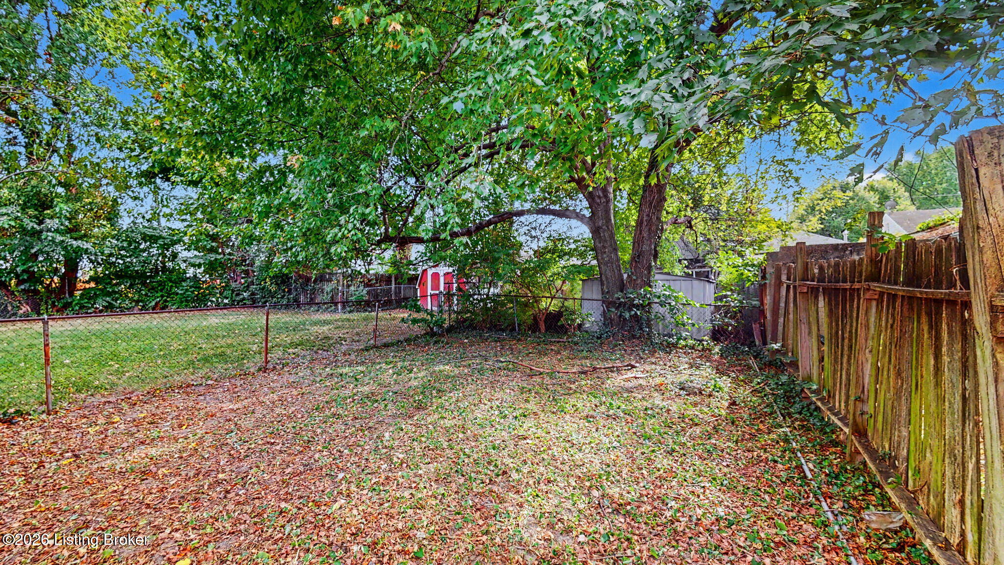 Backyard with mature trees, chain-link and wooden fencing, and a small red shed.