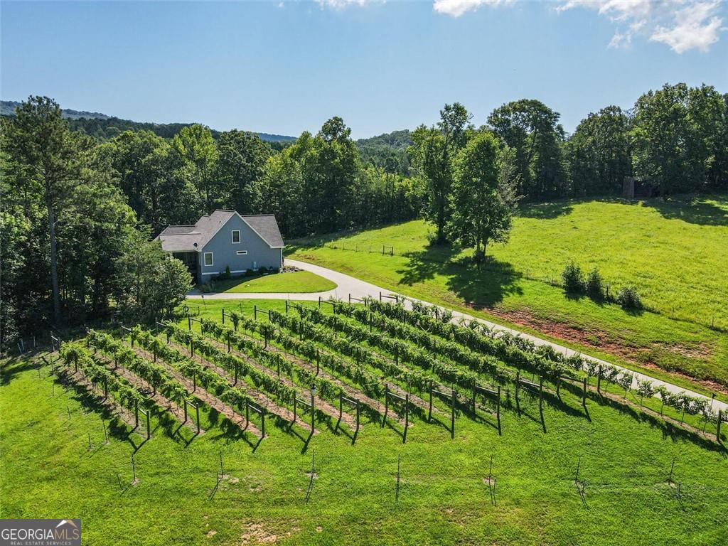 253 Happy Trails Way