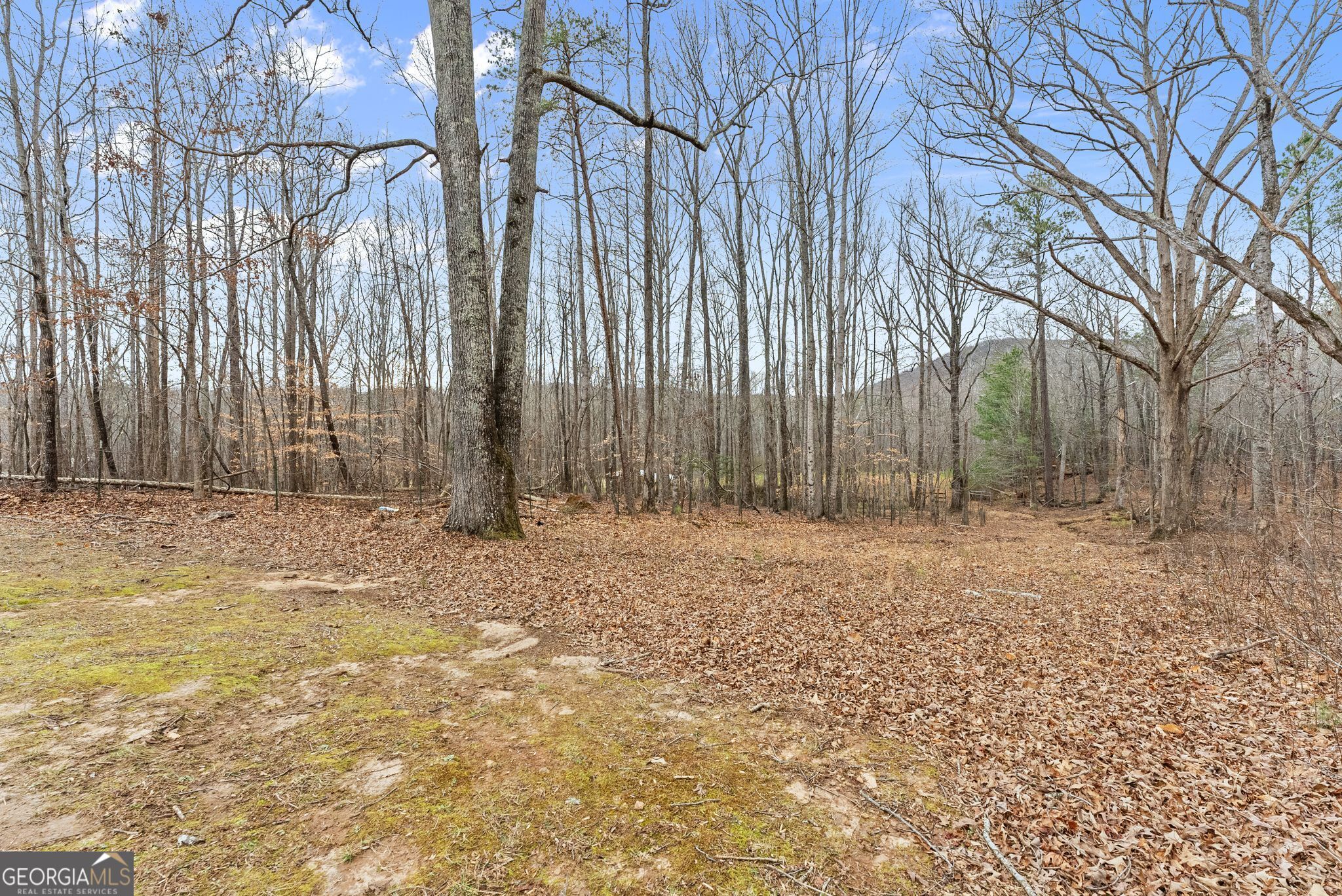 232 Happy Trails Way