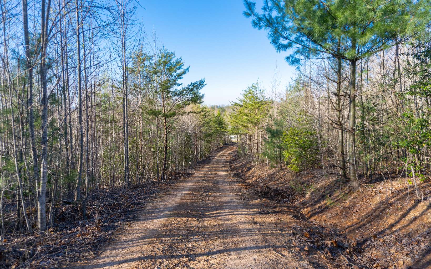 295 Loving Road