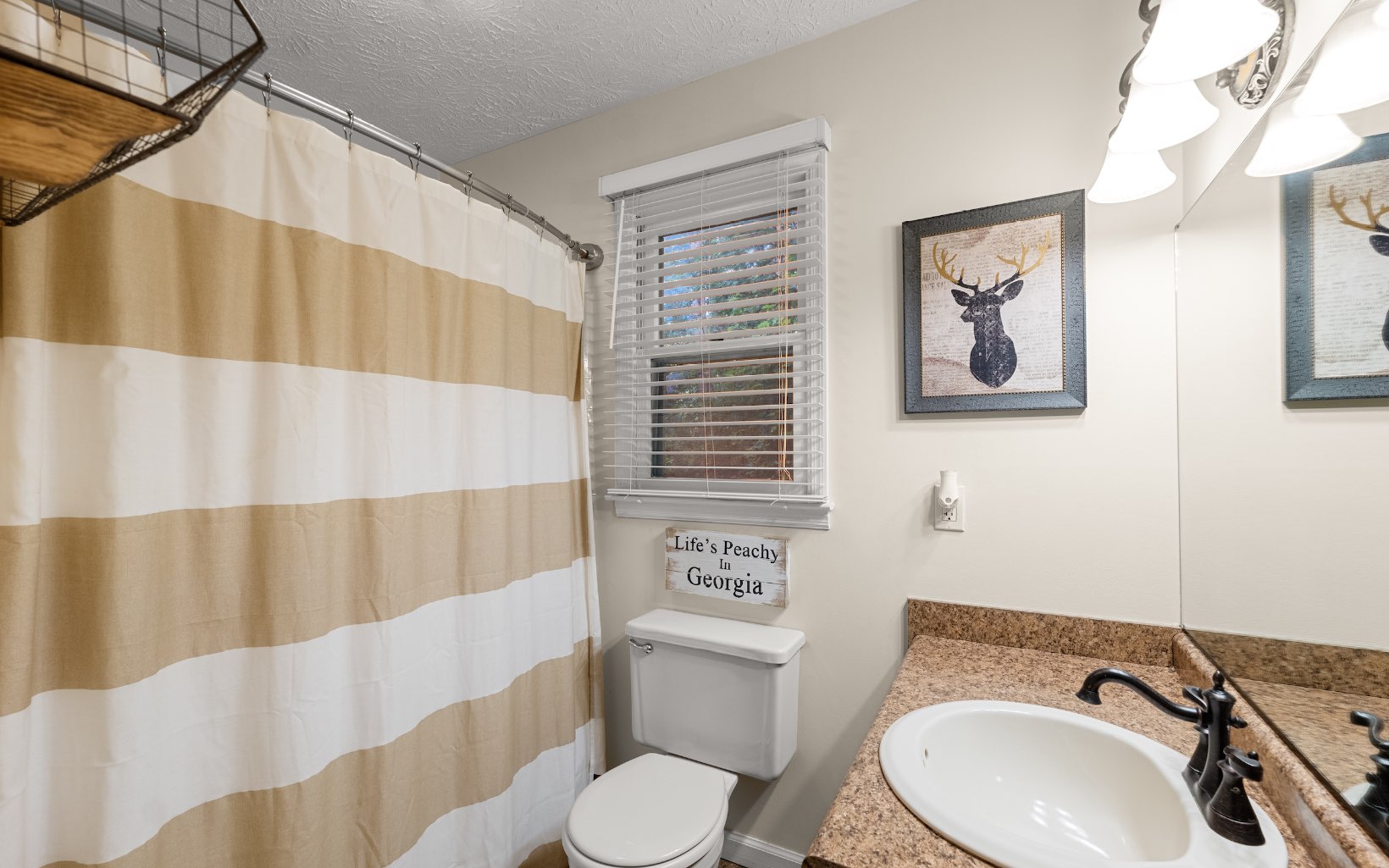224 Laurel Heights Drive
