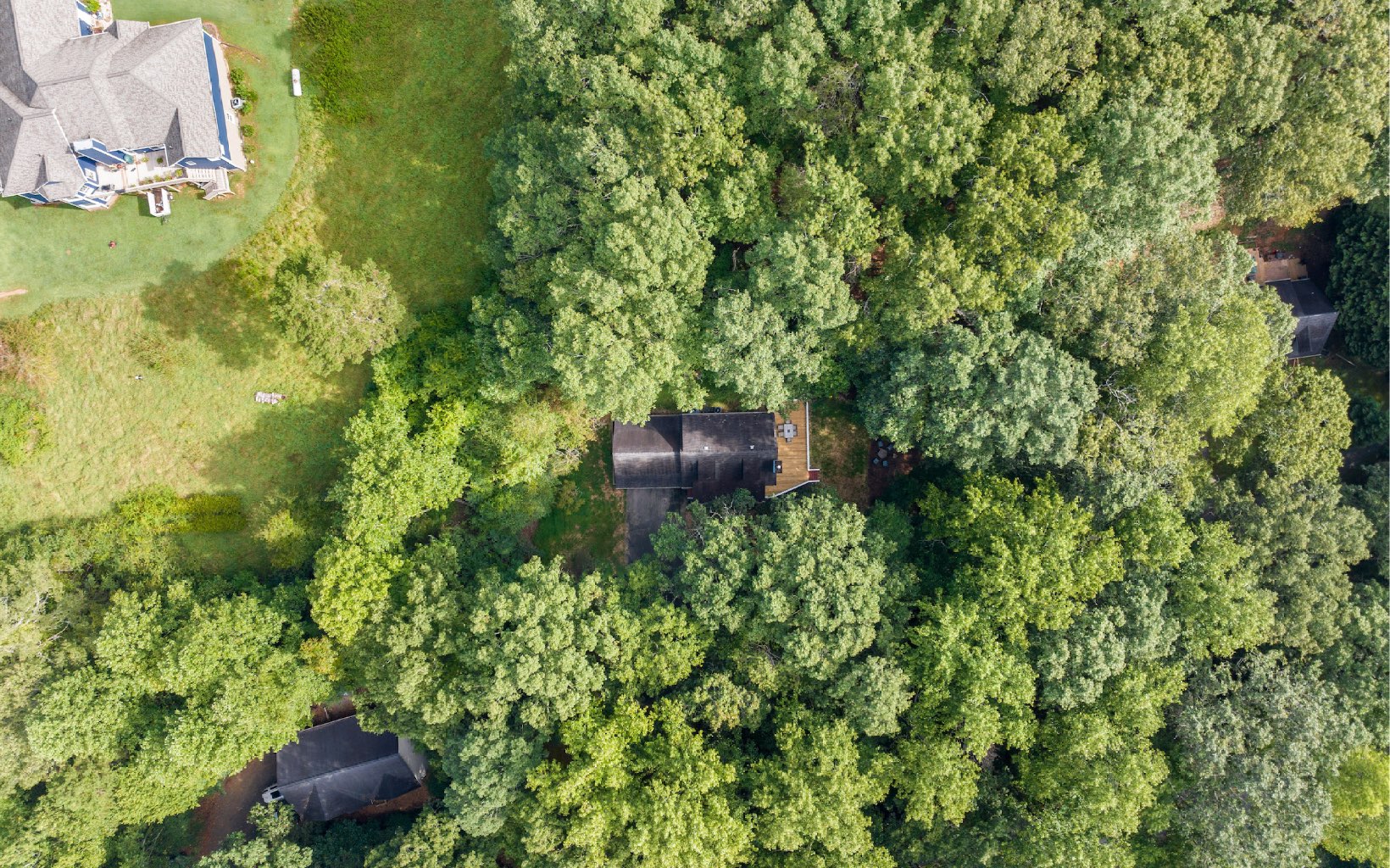 224 Laurel Heights Drive