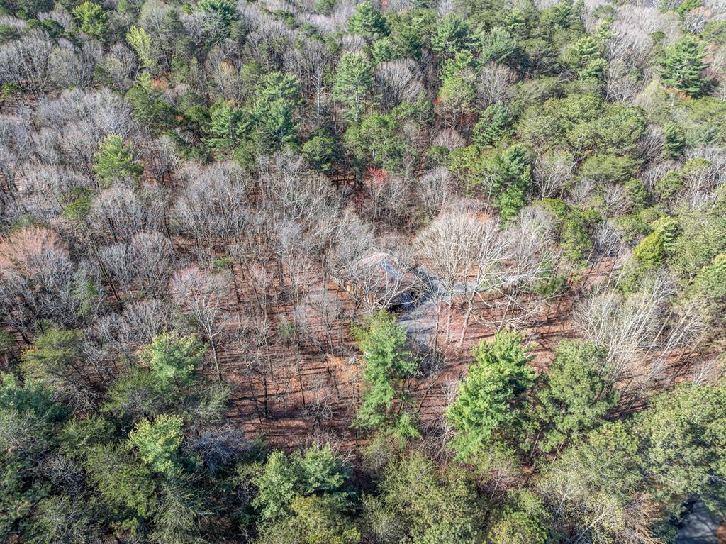 335 Misty Hollow Road