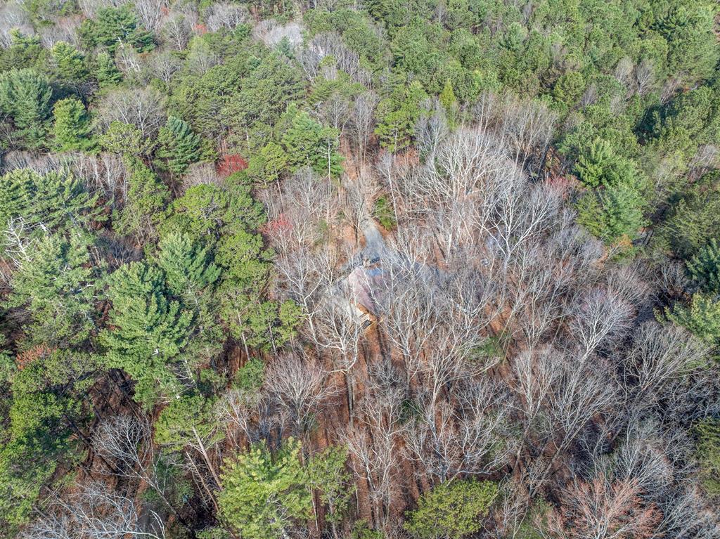 335 Misty Hollow Road