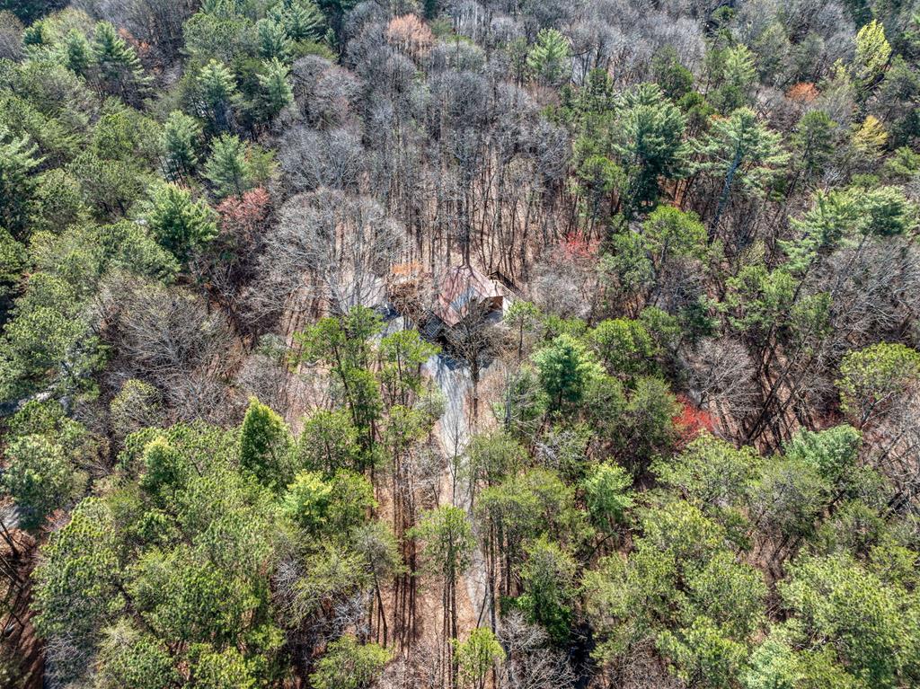 335 Misty Hollow Road