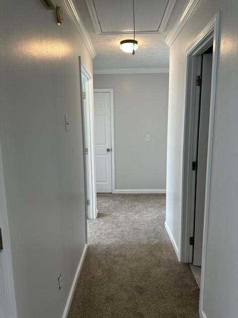 3000 Ivy Mill Drive
