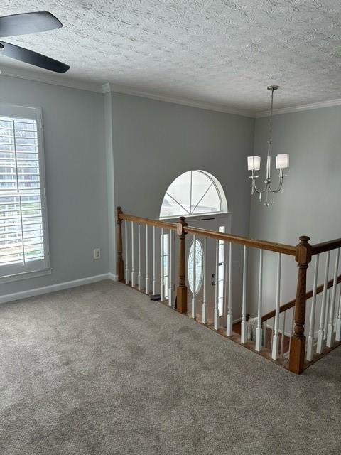 3000 Ivy Mill Drive