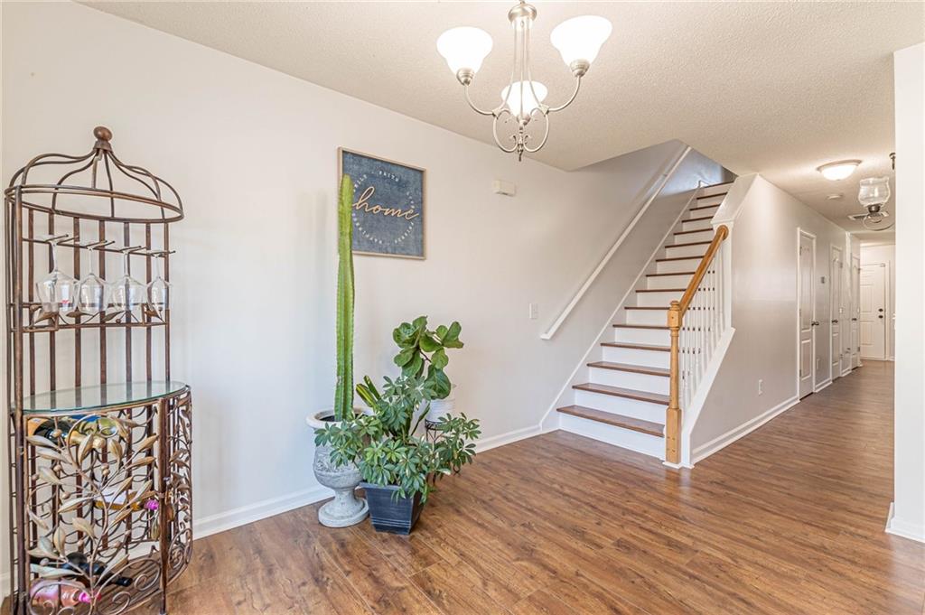 1717 OLD DOGWOOD