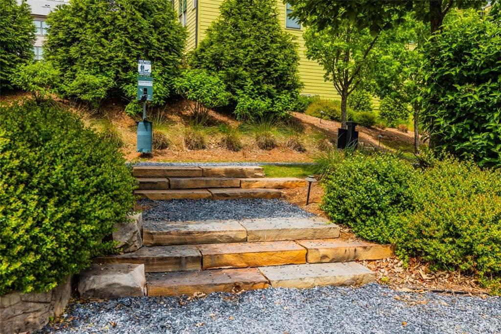 702 Needletail Way