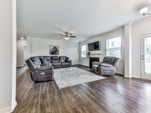 4630 Dandelion Way