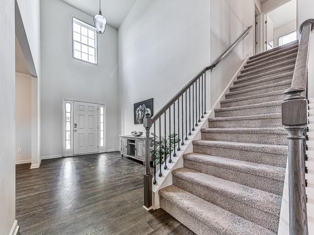 4630 Dandelion Way