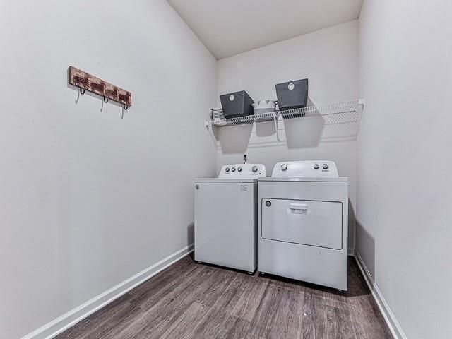 4630 Dandelion Way