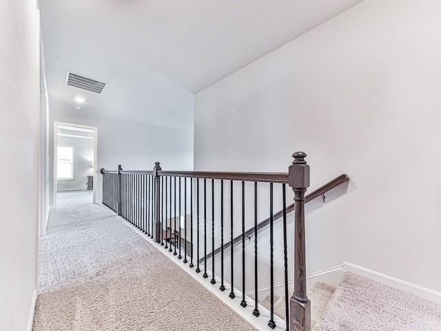 4630 Dandelion Way
