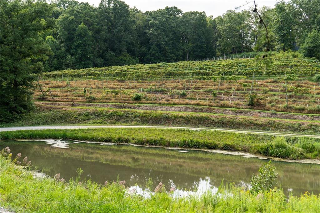 9975 BALL GROUND Highway