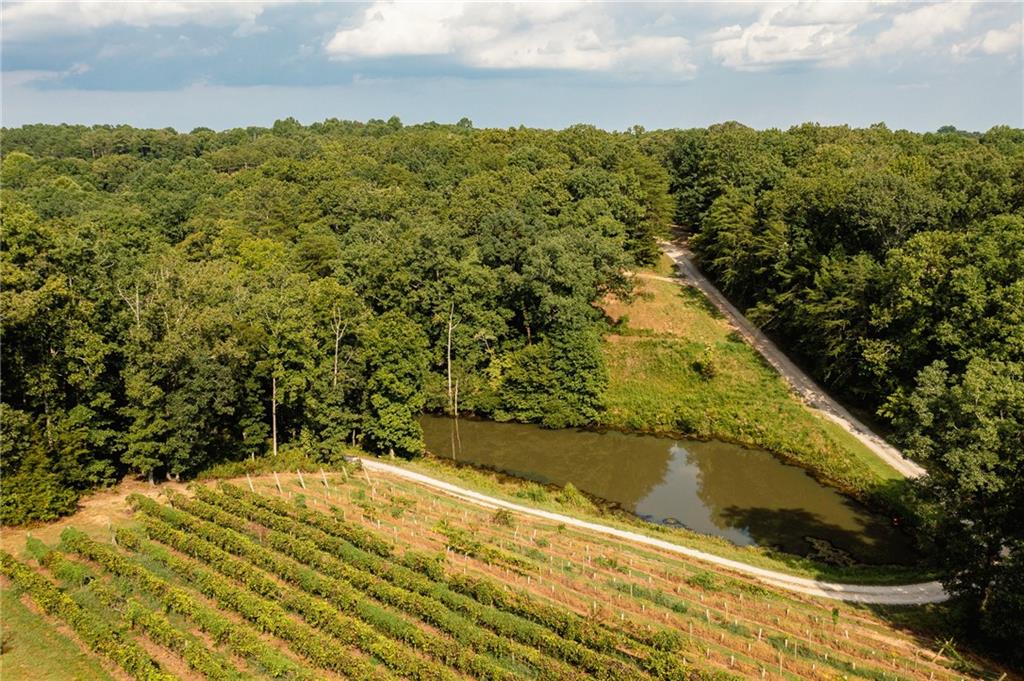 9975 BALL GROUND Highway