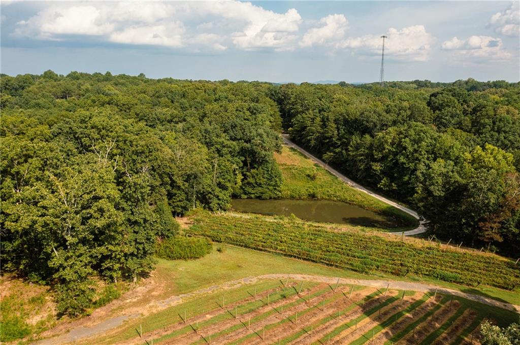 9975 BALL GROUND Highway