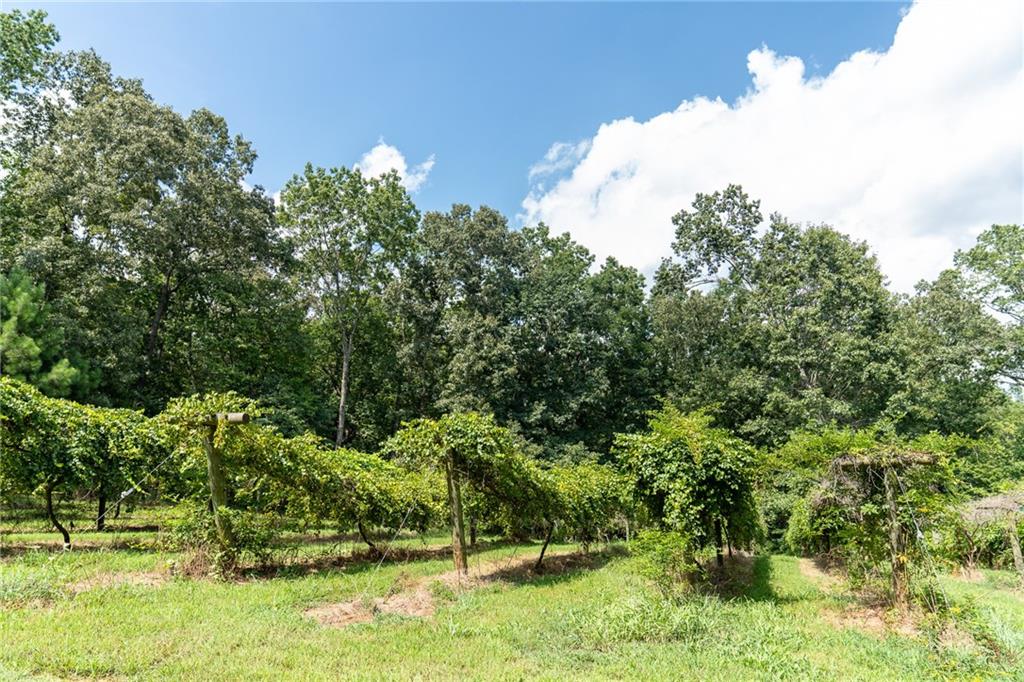 9975 BALL GROUND Highway