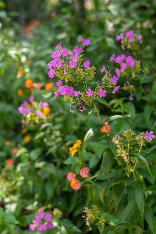 9975 BALL GROUND Highway