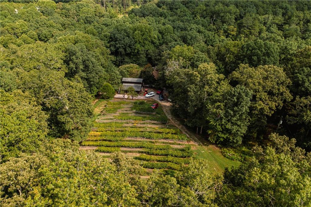 9975 BALL GROUND Highway