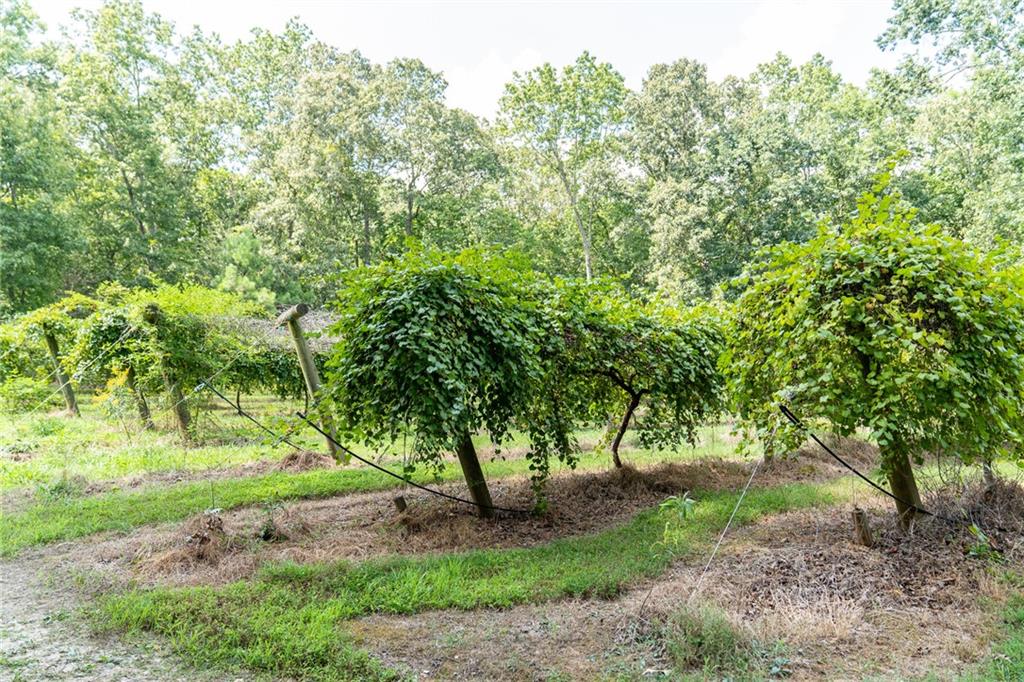 9975 BALL GROUND Highway