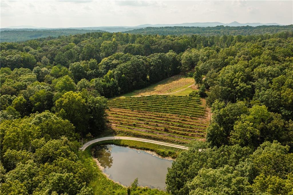 9975 BALL GROUND Highway